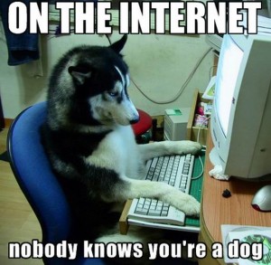 Foto de cão sentado à frente de um computador, com as patas sobre o teclado, com os dizeres: Na Internet ninguém sabe que você é um cão